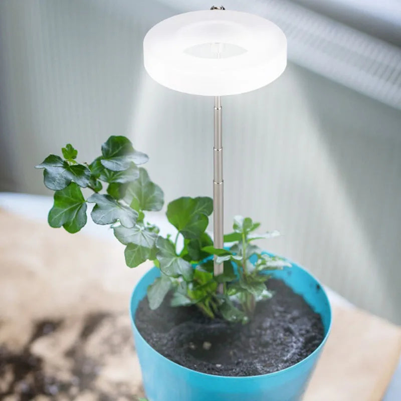 ThriveBeam™ - Lampe de Croissance LED à Spectre Complet