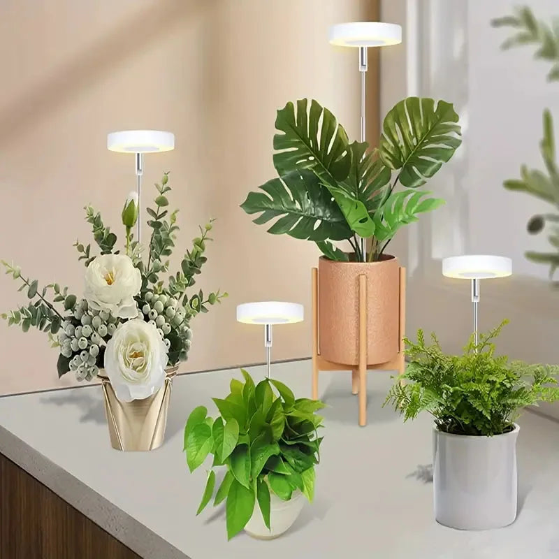 ThriveBeam™ - Lampe de Croissance LED à Spectre Complet