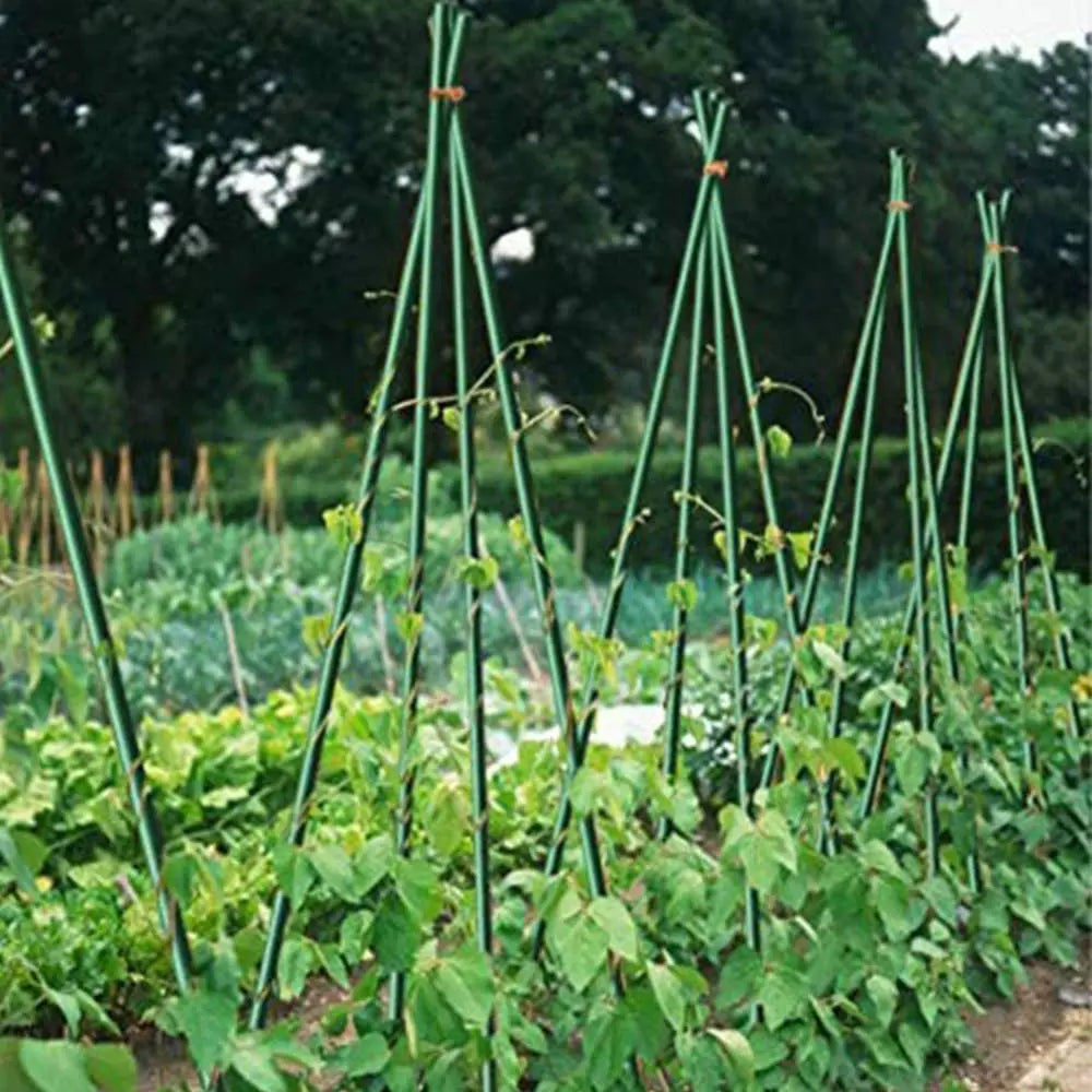 GreenSpire – Piquets de Jardin Ultra-Résistants pour Plantes Grimpantes