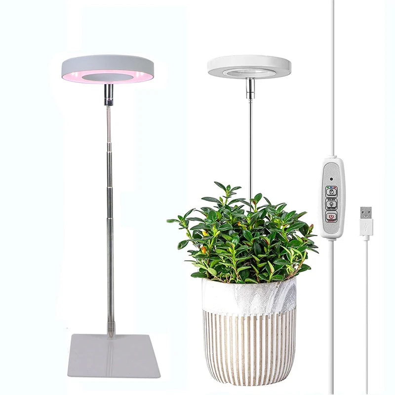 ThriveBeam™ - Lampe de Croissance LED à Spectre Complet