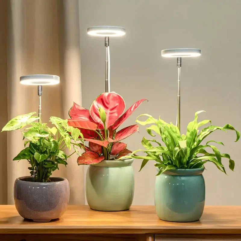 ThriveBeam™ - Lampe de Croissance LED à Spectre Complet