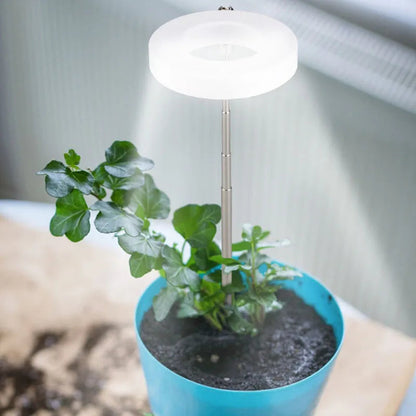ThriveBeam™ - Lampe de Croissance LED à Spectre Complet