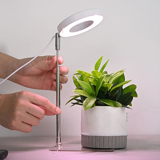 ThriveBeam™ - Lampe de Croissance LED à Spectre Complet